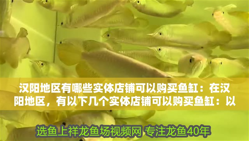 漢陽地區有哪些實體店鋪可以購買魚缸：在漢陽地區，有以下幾個實體店鋪可以購買魚缸：以上店鋪都可以
