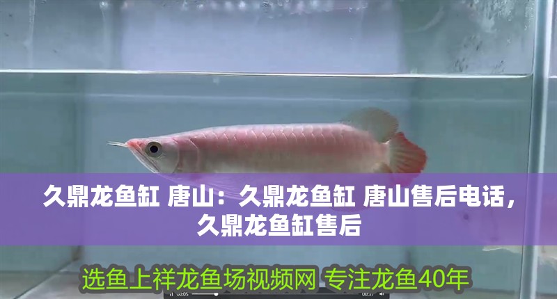久鼎龍魚缸 唐山：久鼎龍魚缸 唐山售后電話，久鼎龍魚缸售后
