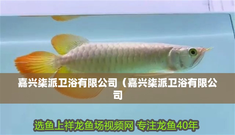 嘉興柒派衛浴有限公司（嘉興柒派衛浴有限公司