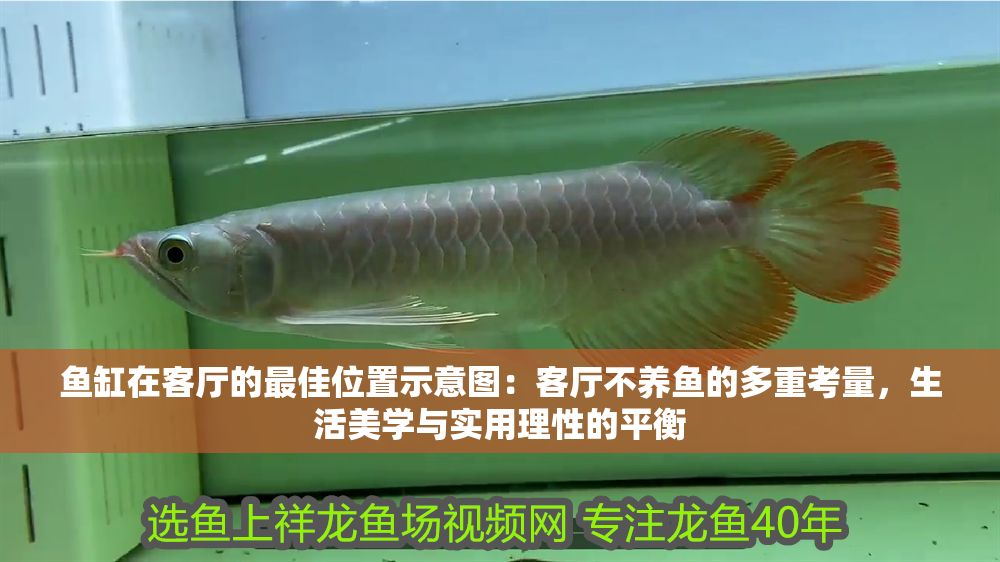 魚缸在客廳的最佳位置示意圖：客廳不養魚的多重考量，生活美學與實用理性的平衡