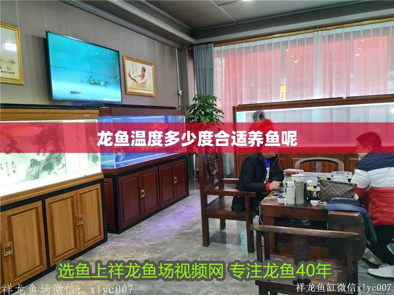 龍魚溫度多少度合適養魚呢