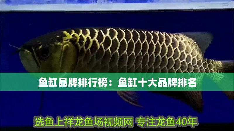 魚(yú)缸品牌排行榜：魚(yú)缸十大品牌排名