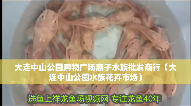 大連中山公園購物廣場惠子水族批發商行（大連中山公園水族花卉市場）
