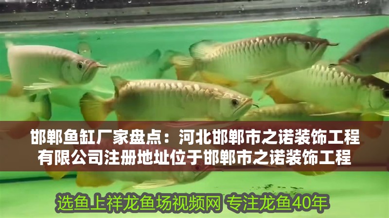 邯鄲魚缸廠家盤點：河北邯鄲市之諾裝飾工程有限公司注冊地址位于邯鄲市之諾裝飾工程