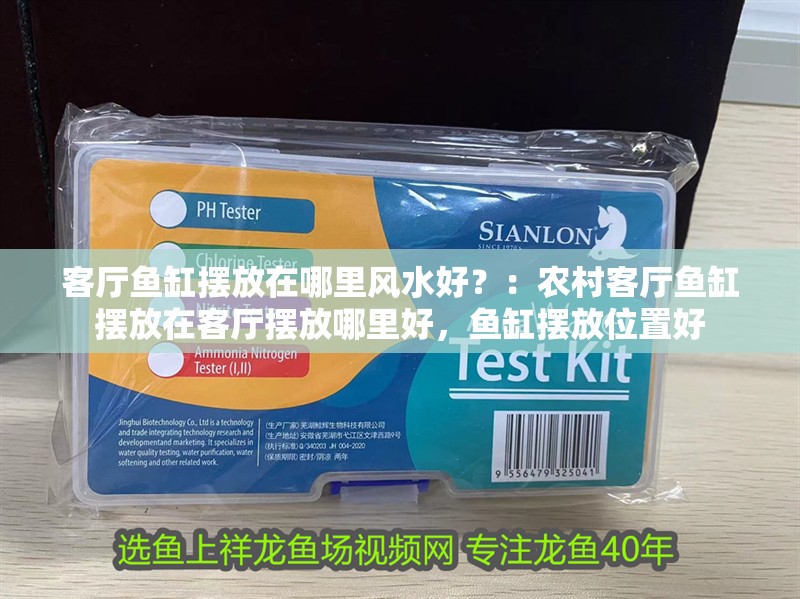 客廳魚缸擺放在哪里風水好？：農村客廳魚缸擺放在客廳擺放哪里好，魚缸擺放位置好