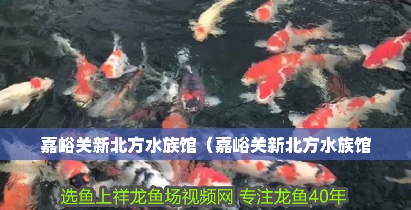 嘉峪關(guān)新北方水族館（嘉峪關(guān)新北方水族館
