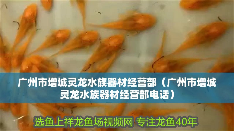 廣州市增城靈龍水族器材經營部（廣州市增城靈龍水族器材經營部電話）