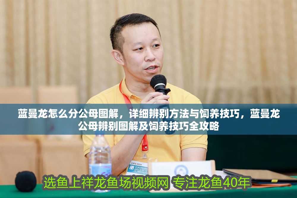 詳細閱讀:藍曼龍怎么分公母圖解,詳細辨別方法與飼養技巧,藍曼龍公母辨別圖解及飼養技巧全攻略 藍曼龍怎么分公母圖解,詳細辨別方法與飼養技巧,藍曼龍公母辨別圖解及飼養技巧全攻略