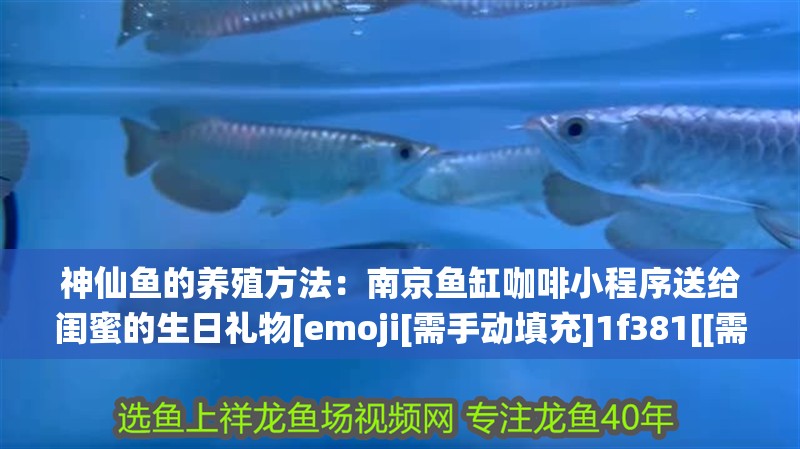 神仙魚的養殖方法：南京魚缸咖啡小程序送給閨蜜的生日禮物[emoji[需手動填充]1f381[[需手動填充]emoji[需手動填充]