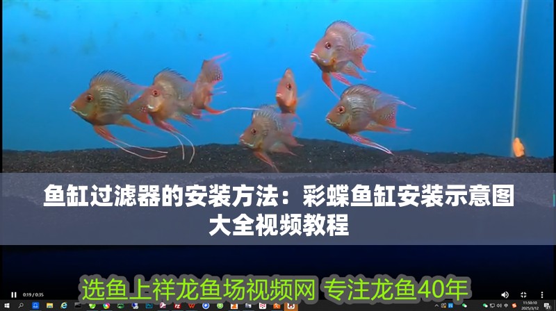 魚(yú)缸過(guò)濾器的安裝方法：彩蝶魚(yú)缸安裝示意圖大全視頻教程