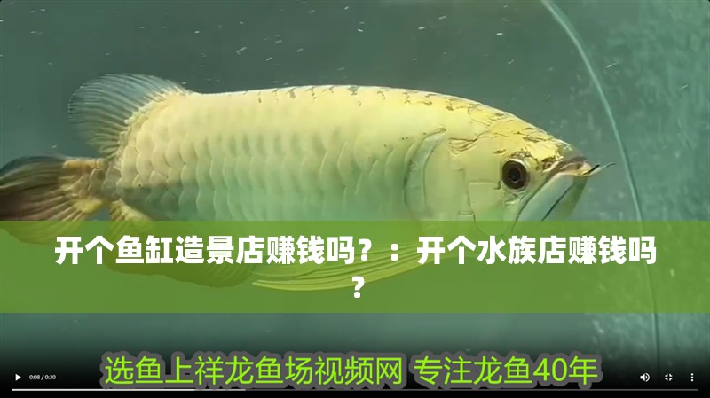 開個(gè)魚缸造景店賺錢嗎？：開個(gè)水族店賺錢嗎？