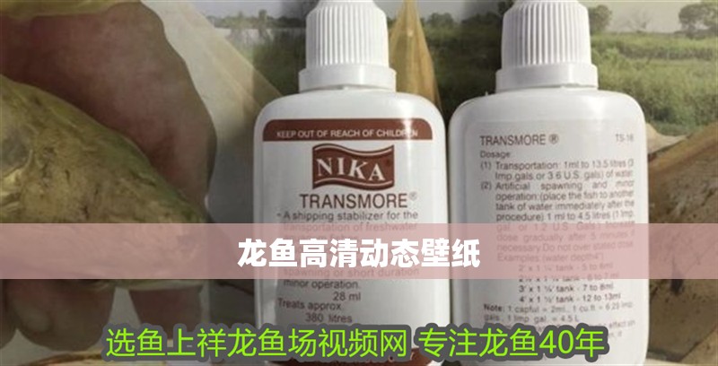 龍魚高清動態壁紙