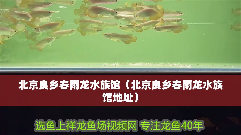 北京良鄉(xiāng)春雨龍水族館（北京良鄉(xiāng)春雨龍水族館地址）