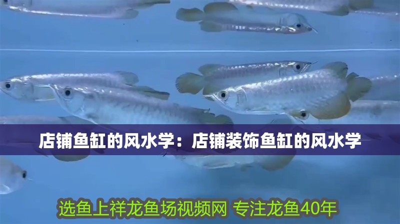 店鋪魚缸的風水學：店鋪裝飾魚缸的風水學