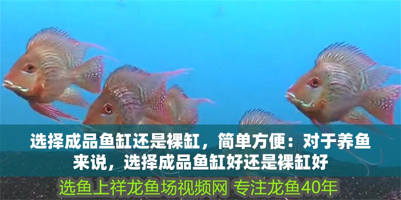 選擇成品魚缸還是裸缸，簡單方便：對于養魚來說，選擇成品魚缸好還是裸缸好