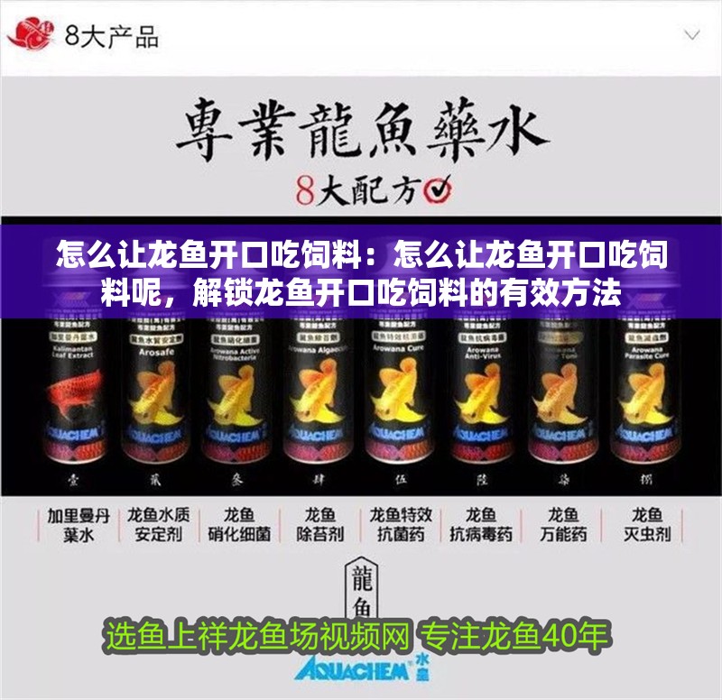怎么讓龍魚(yú)開(kāi)口吃飼料：怎么讓龍魚(yú)開(kāi)口吃飼料呢，解鎖龍魚(yú)開(kāi)口吃飼料的有效方法