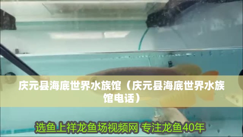 慶元縣海底世界水族館（慶元縣海底世界水族館電話）