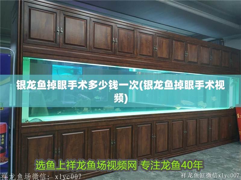 銀龍魚掉眼手術多少錢一次(銀龍魚掉眼手術視頻)