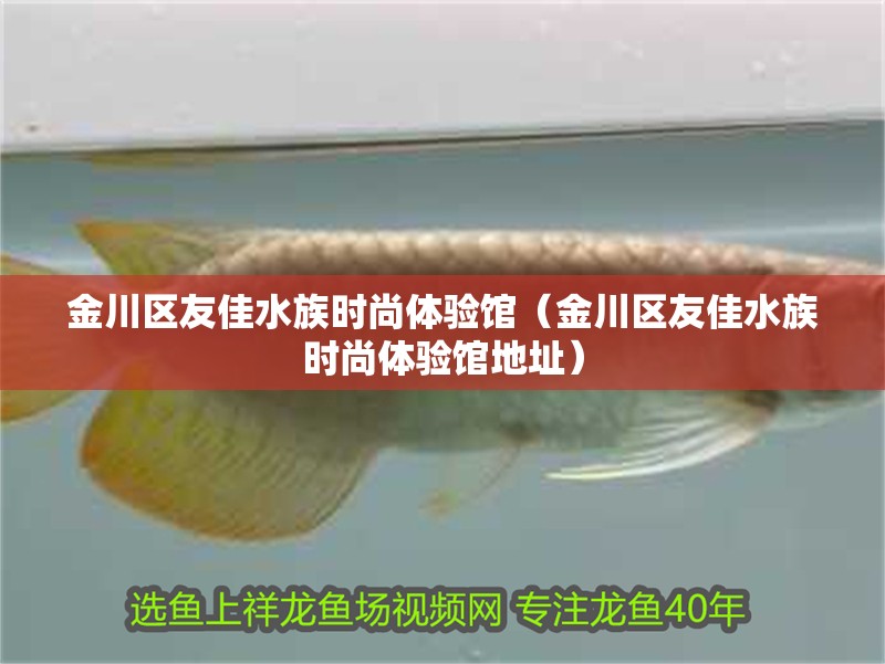 金川區(qū)友佳水族時(shí)尚體驗(yàn)館（金川區(qū)友佳水族時(shí)尚體驗(yàn)館地址）