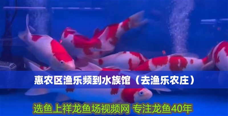 惠農區漁樂頻到水族館（去漁樂農莊）