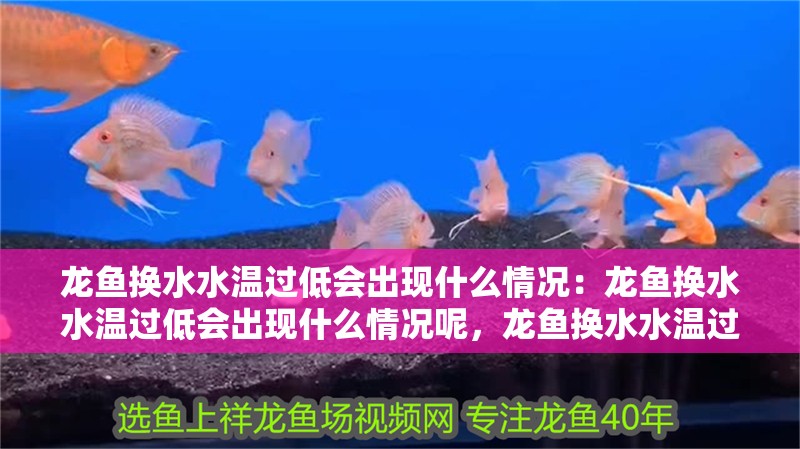 龍魚換水水溫過低會出現(xiàn)什么情況：龍魚換水水溫過低會出現(xiàn)什么情況呢，龍魚換水水溫過低的危害解析