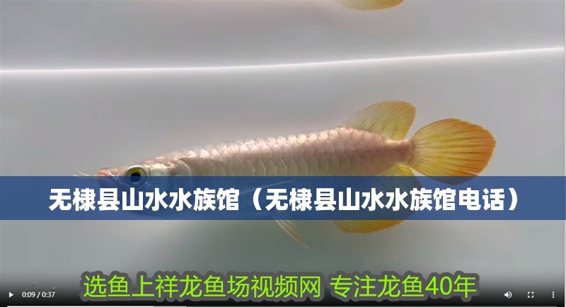 無(wú)棣縣山水水族館（無(wú)棣縣山水水族館電話）