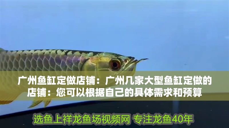 廣州魚缸定做店鋪：廣州幾家大型魚缸定做的店鋪：您可以根據自己的具體需求和預算