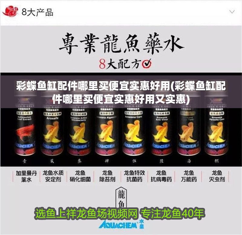 彩蝶魚缸配件哪里買便宜實惠好用(彩蝶魚缸配件哪里買便宜實惠好用又實惠)