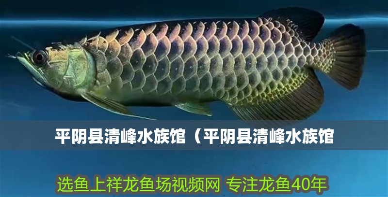 平陰縣清峰水族館（平陰縣清峰水族館