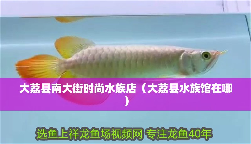 大荔縣南大街時尚水族店（大荔縣水族館在哪）