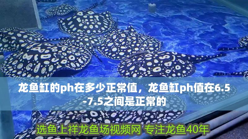 龍魚缸的ph在多少正常值，龍魚缸ph值在6.5-7.5之間是正常的