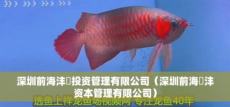 深圳前海灃沄投資管理有限公司（深圳前海溋灃資本管理有限公司）