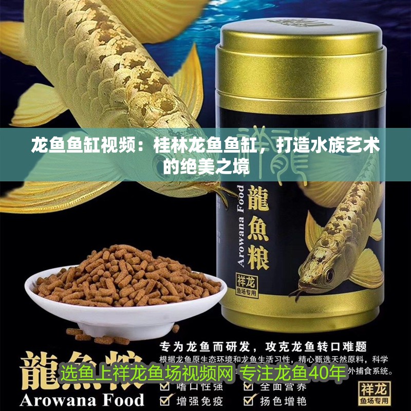龍魚魚缸視頻：桂林龍魚魚缸，打造水族藝術的絕美之境