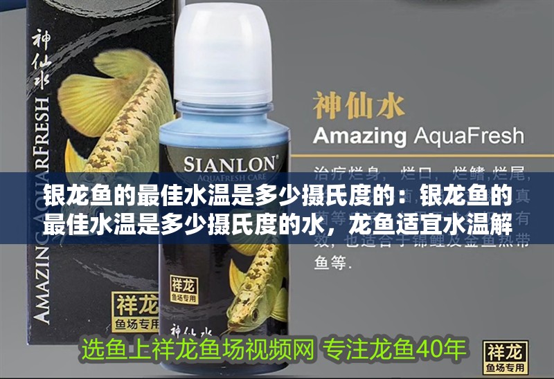 銀龍魚的最佳水溫是多少攝氏度的：銀龍魚的最佳水溫是多少攝氏度的水，龍魚適宜水溫解析，最佳養(yǎng)殖溫度