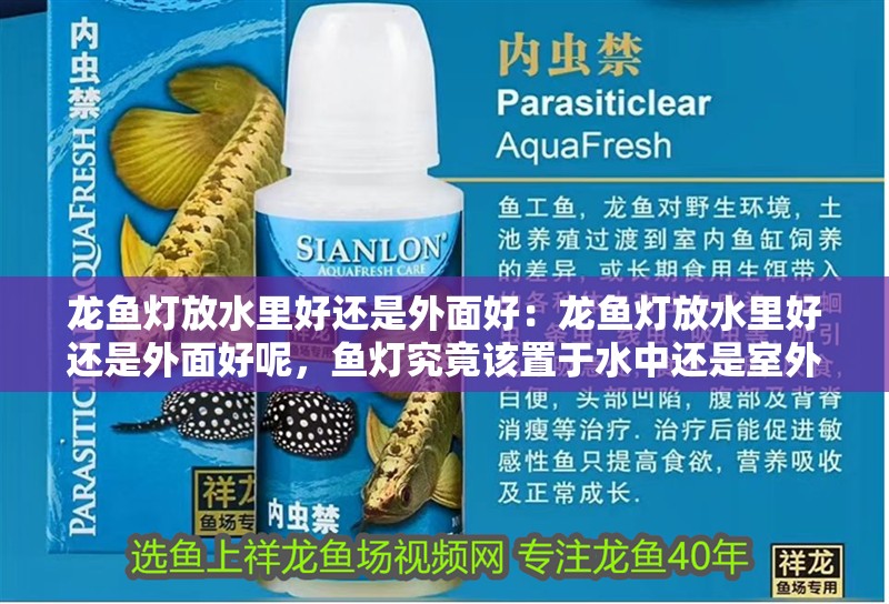 龍魚燈放水里好還是外面好：龍魚燈放水里好還是外面好呢，魚燈究竟該置于水中還是室外？