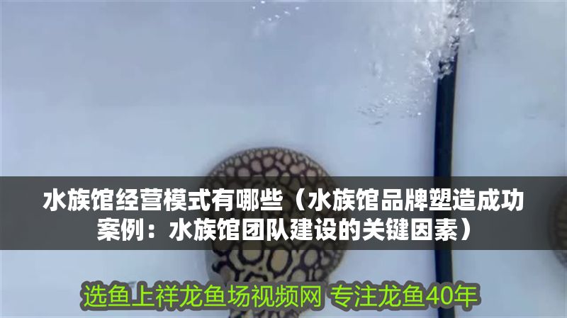 水族館經營模式有哪些（水族館品牌塑造成功案例：水族館團隊建設的關鍵因素）