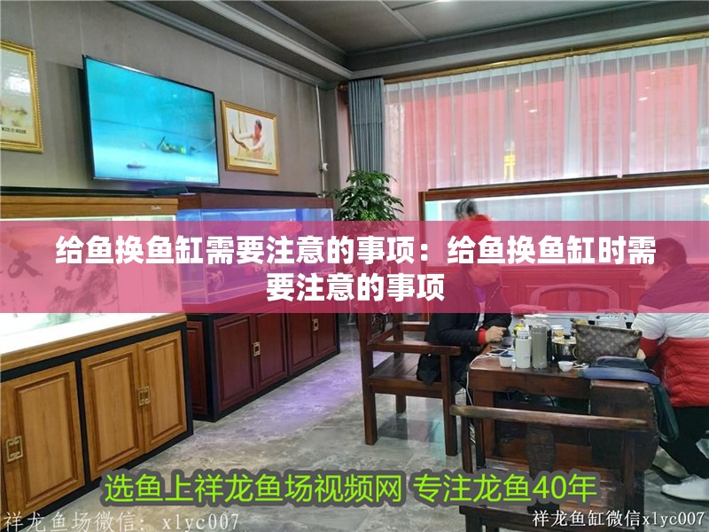 給魚換魚缸需要注意的事項：給魚換魚缸時需要注意的事項