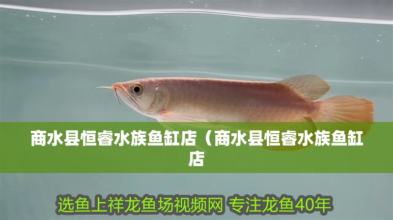 商水縣恒睿水族魚缸店（商水縣恒睿水族魚缸店