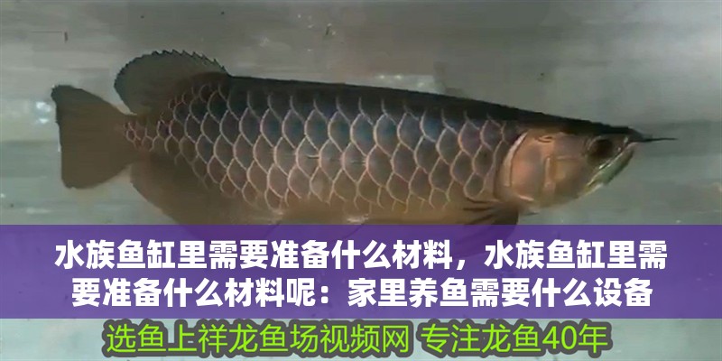 水族魚缸里需要準備什么材料，水族魚缸里需要準備什么材料呢：家里養魚需要什么設備