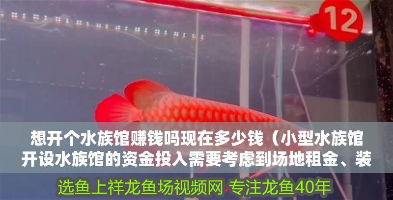 想開個水族館賺錢嗎現在多少錢（小型水族館開設水族館的資金投入需要考慮到場地租金、裝修成本）