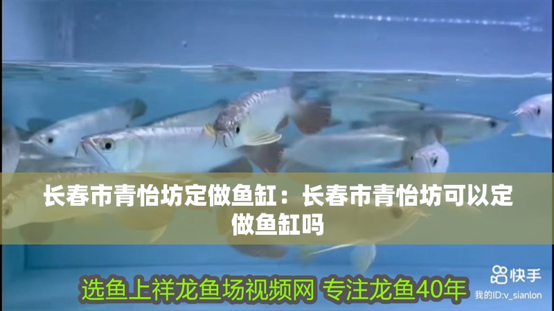 長春市青怡坊定做魚缸：長春市青怡坊可以定做魚缸嗎