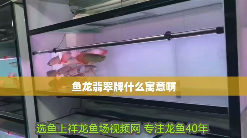 魚龍翡翠牌什么寓意啊