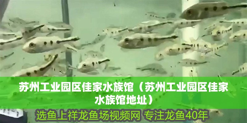 蘇州工業(yè)園區(qū)佳家水族館（蘇州工業(yè)園區(qū)佳家水族館地址）