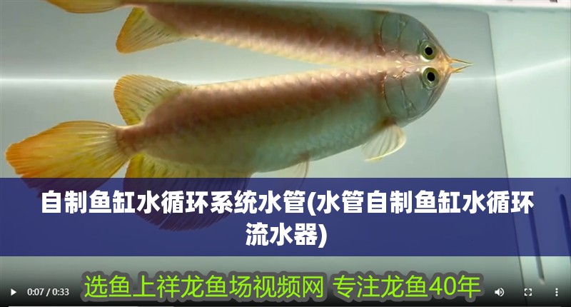 自制魚缸水循環系統水管(水管自制魚缸水循環流水器)