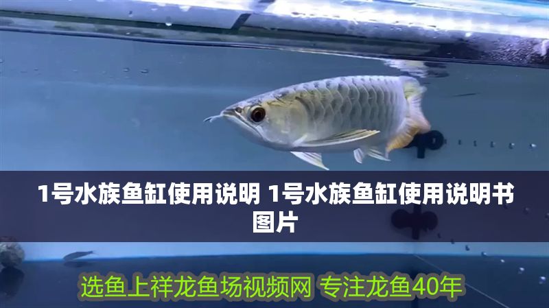 1號(hào)水族魚(yú)缸使用說(shuō)明 1號(hào)水族魚(yú)缸使用說(shuō)明書(shū)圖片 1號(hào)水族魚(yú)缸使用說(shuō)明 1號(hào)水族魚(yú)缸使用說(shuō)明書(shū)圖片 錦鯉魚(yú)百科 第1張