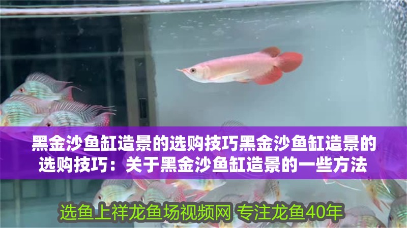 黑金沙魚(yú)缸造景的選購(gòu)技巧黑金沙魚(yú)缸造景的選購(gòu)技巧：關(guān)于黑金沙魚(yú)缸造景的一些方法