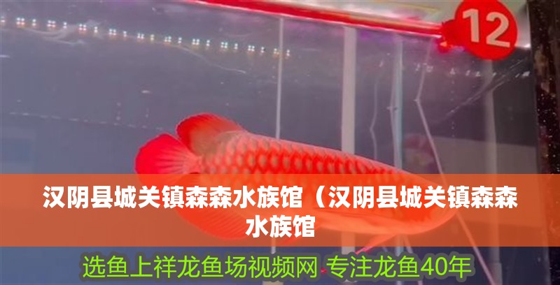 漢陰縣城關鎮(zhèn)森森水族館（漢陰縣城關鎮(zhèn)森森水族館
