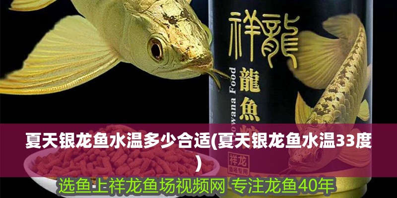 夏天銀龍魚水溫多少合適(夏天銀龍魚水溫33度)