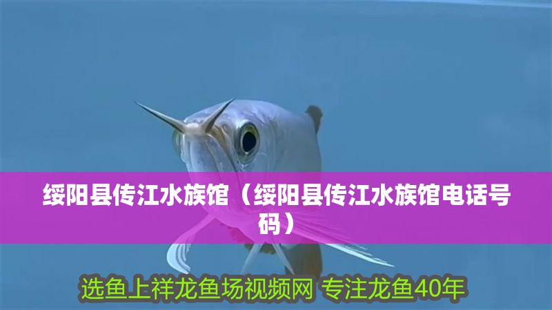 綏陽縣傳江水族館（綏陽縣傳江水族館電話號碼）