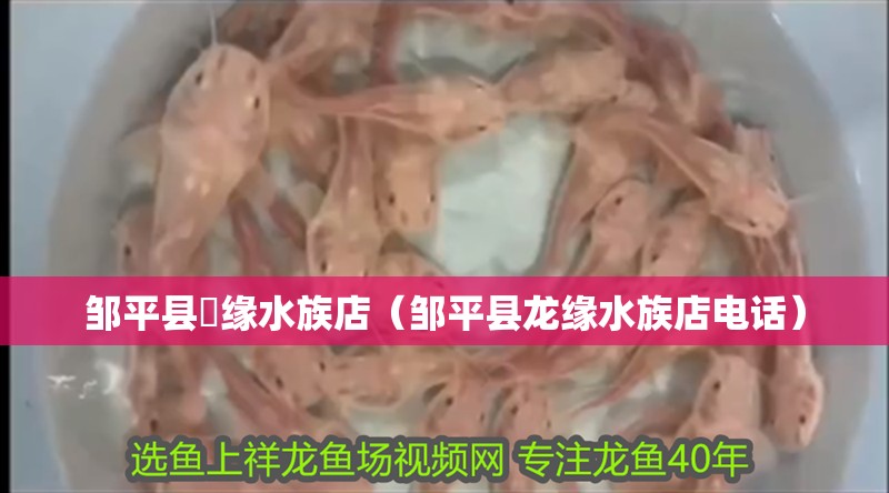 鄒平縣龍緣水族店（鄒平縣龍緣水族店電話）